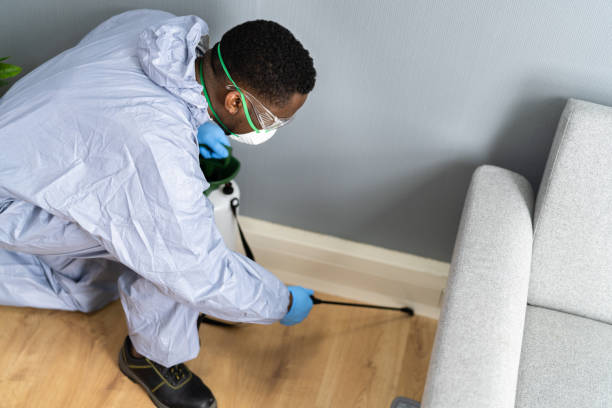 Best Pest Prevention Services  in Colorado City, TX